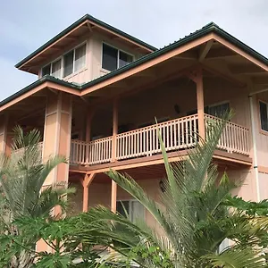 Coconut Palms Vacation Near Lava Fields And Beaches Holiday home